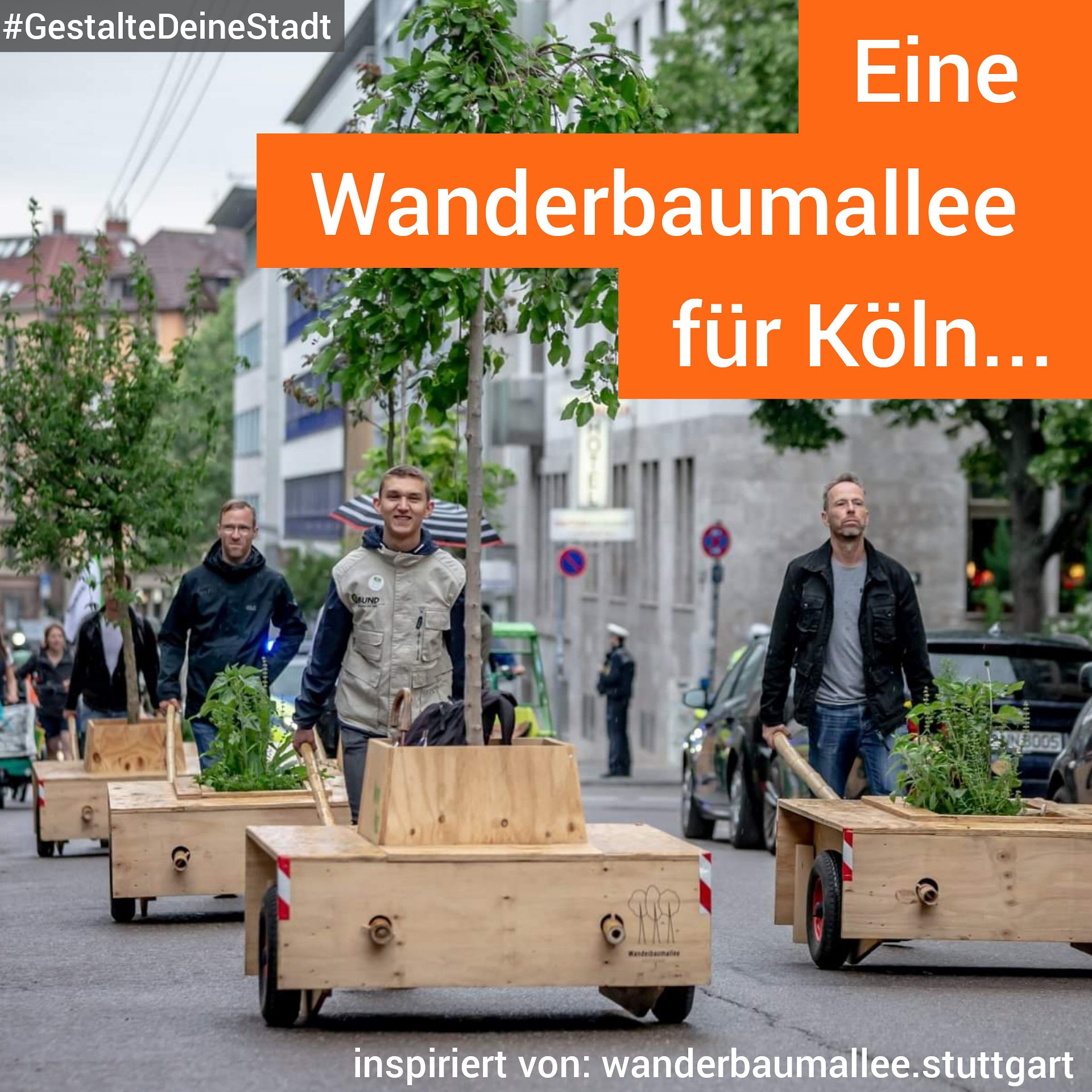 Eine Wanderbaumallee für Köln #GestalteDeineStadt